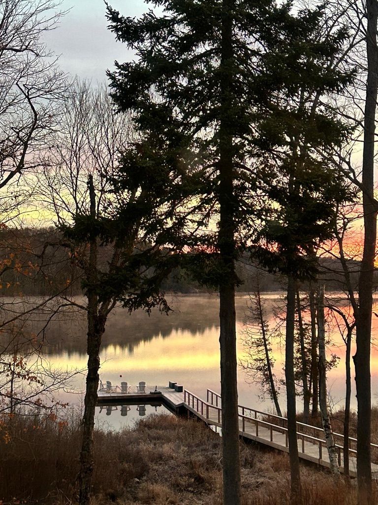 Lake dock at sunrise through the pines